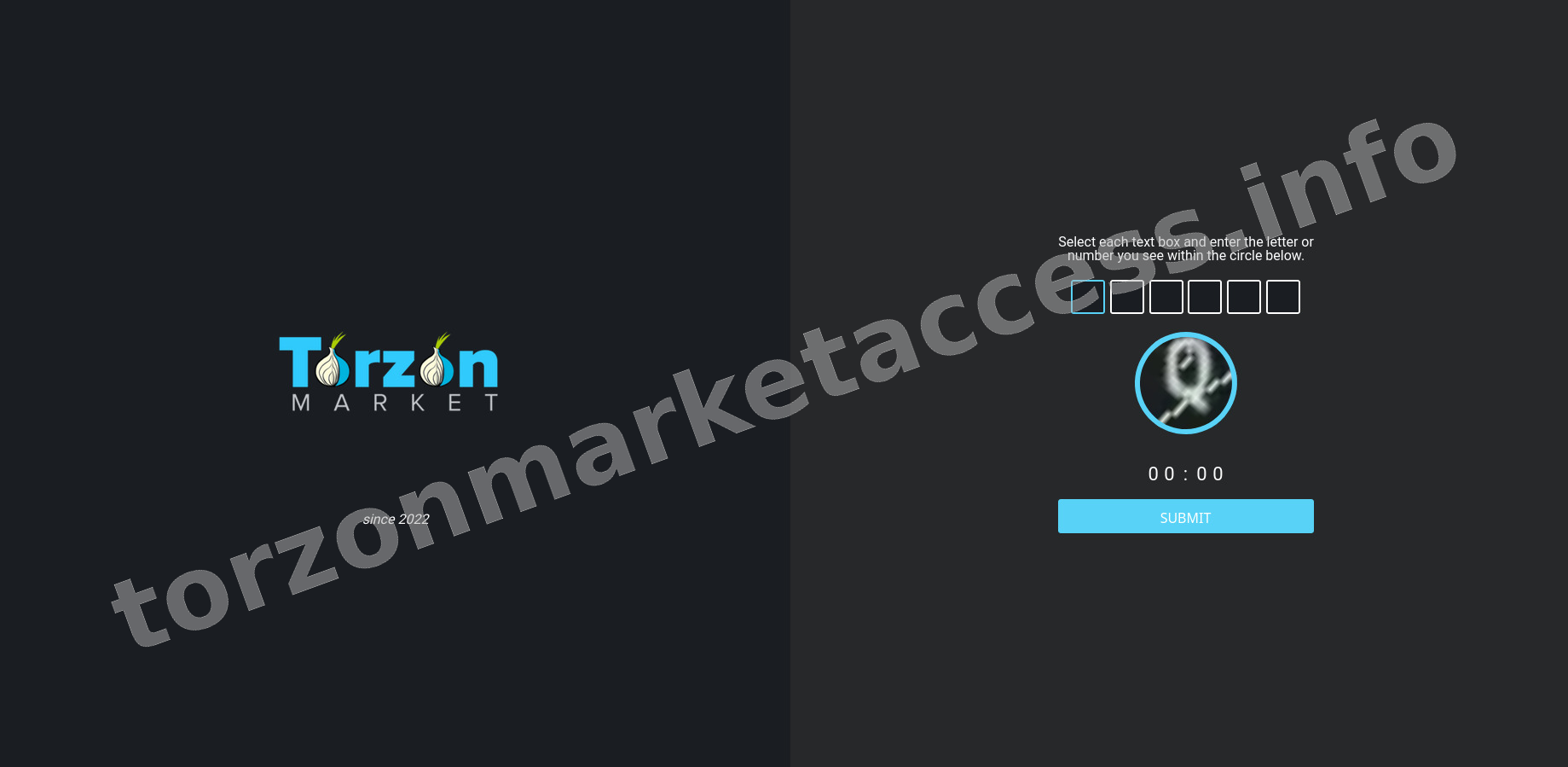 DDoS Protection Screen