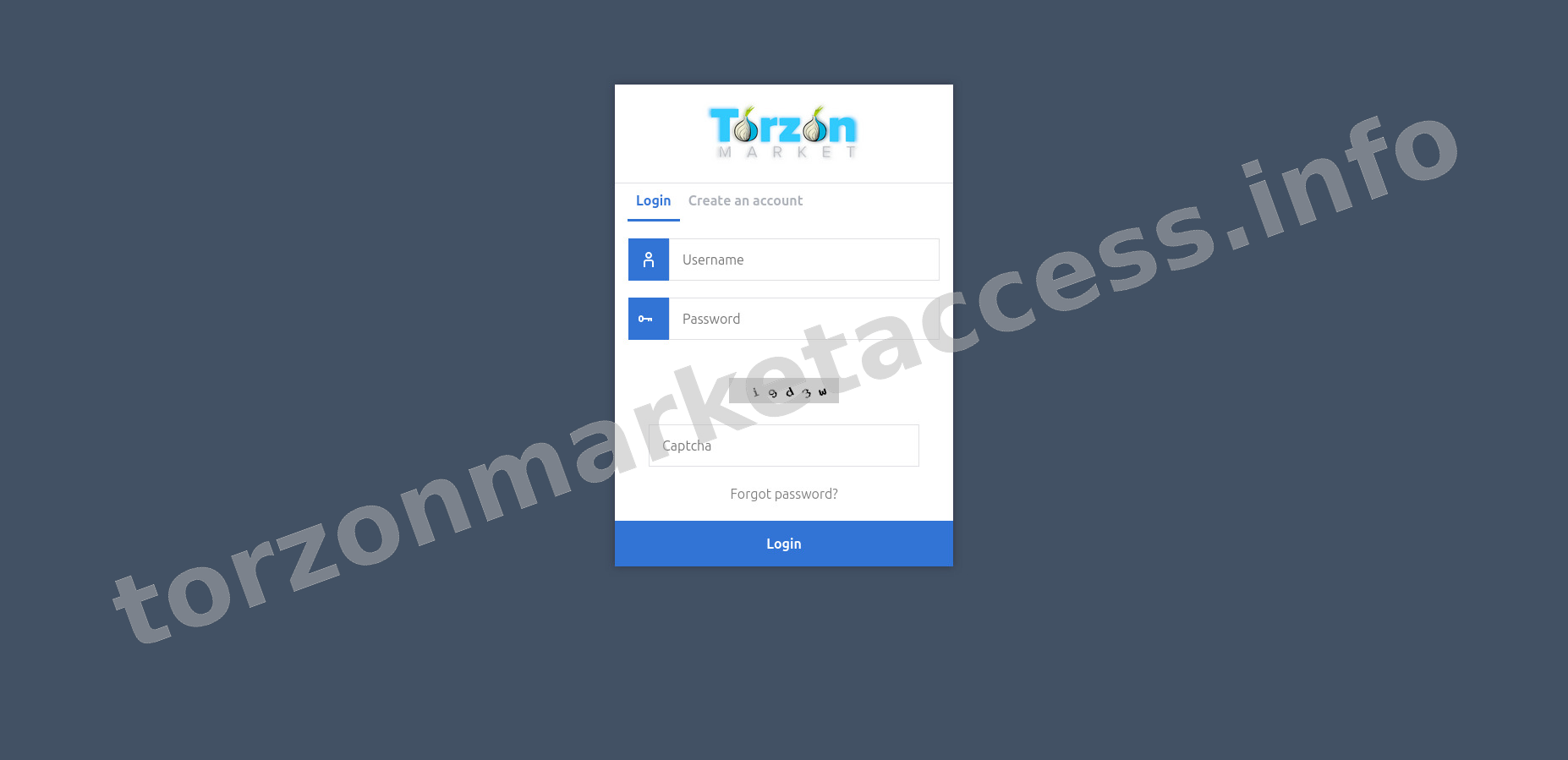User Login Interface